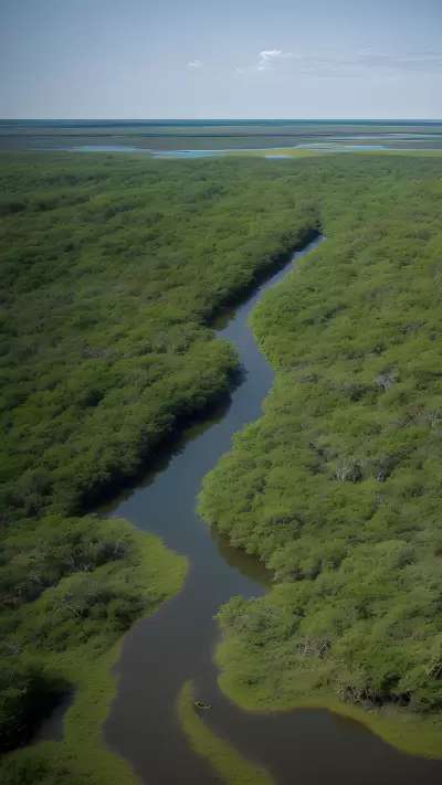 Documenting the Wild Life in Estuaries
