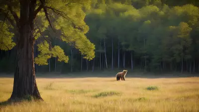 Nature's Symphony A Glorious Day with the Wildlife of Taiga