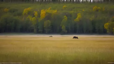 Nature's Symphony A Glorious Day with the Wildlife of Taiga