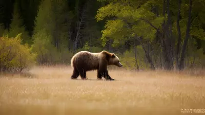 Nature's Symphony A Glorious Day with the Wildlife of Taiga