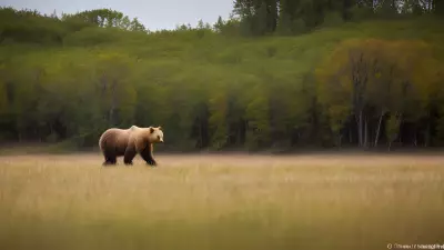Nature's Symphony A Glorious Day with the Wildlife of Taiga