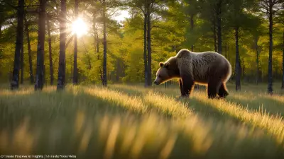 Nature's Symphony A Glorious Day with the Wildlife of Taiga
