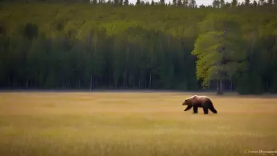 Nature's Symphony A Glorious Day with the Wildlife of Taiga