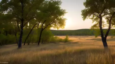 Nature's Symphony A Glorious Day with the Wildlife of Taiga