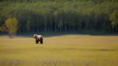 Nature's Symphony A Glorious Day with the Wildlife of Taiga
