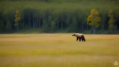 Nature's Symphony A Glorious Day with the Wildlife of Taiga