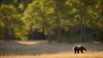 Nature's Symphony A Glorious Day with the Wildlife of Taiga
