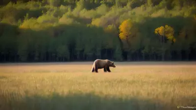Nature's Symphony A Glorious Day with the Wildlife of Taiga