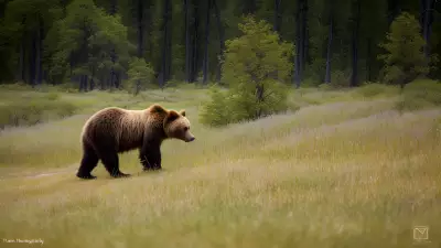 Nature's Symphony A Glorious Day with the Wildlife of Taiga