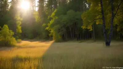 Nature's Symphony A Glorious Day with the Wildlife of Taiga