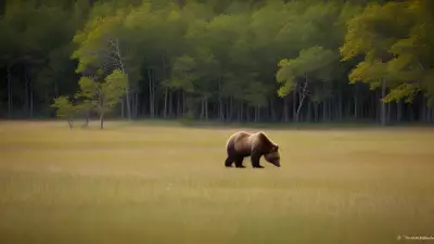 Nature's Symphony A Glorious Day with the Wildlife of Taiga