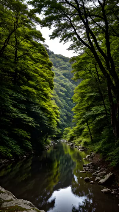 Ethereal Beauty along a Dramatic River Bank