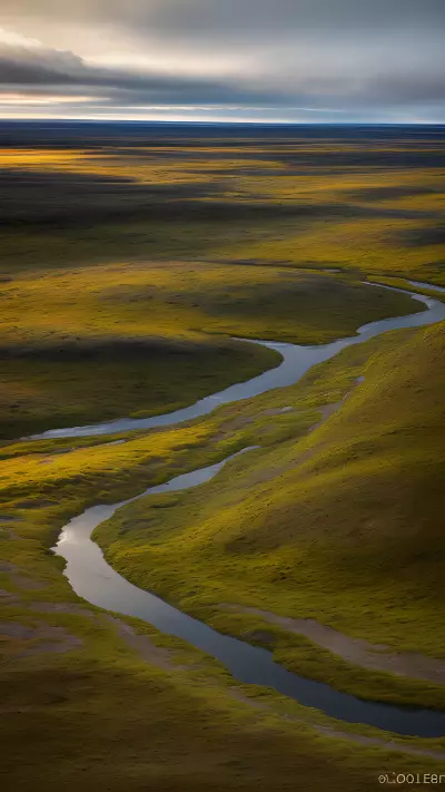 Protagonist of the TundraCapturing Breathtaking Wildlife in Remote Locations