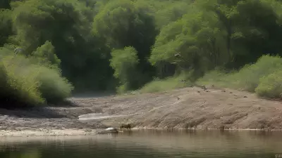 Fulfilling the Circle of Life Riparian Biodiversity and its Feeding Moments