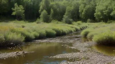 Fulfilling the Circle of Life Riparian Biodiversity and its Feeding Moments