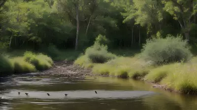 Fulfilling the Circle of Life Riparian Biodiversity and its Feeding Moments