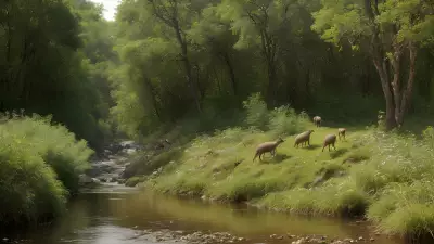 Fulfilling the Circle of Life Riparian Biodiversity and its Feeding Moments