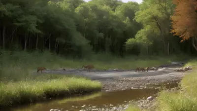 Fulfilling the Circle of Life Riparian Biodiversity and its Feeding Moments