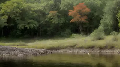 Fulfilling the Circle of Life Riparian Biodiversity and its Feeding Moments