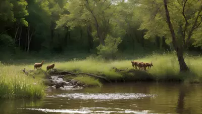 Fulfilling the Circle of Life Riparian Biodiversity and its Feeding Moments