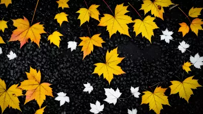 Black and White Jewels in the Falling Leaves