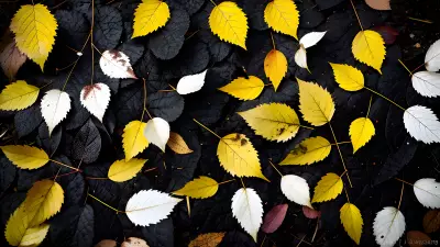 Black and White Jewels in the Falling Leaves