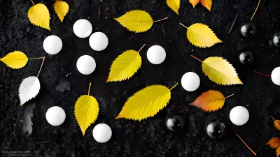 Black and White Jewels in the Falling Leaves