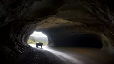 Contrasting Scenery in a Wild Cave With Josef Pittner's Protagonist