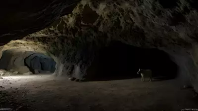 Contrasting Scenery in a Wild Cave With Josef Pittner's Protagonist