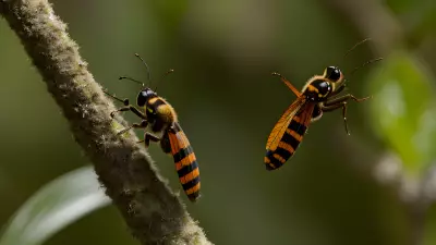 Capturing the Ecosystem Interplay in the World of Insects A Photograph from the Lens of a Wildlife Researcher