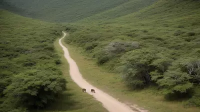 Capturing the Animal Spirits of Untouched Habitats A Professional Wildlife Photo Story