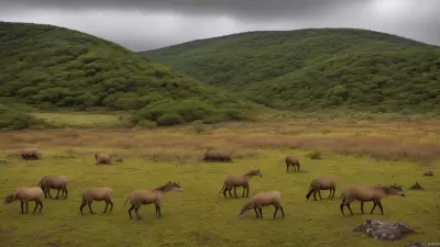 Capturing the Animal Spirits of Untouched Habitats A Professional Wildlife Photo Story
