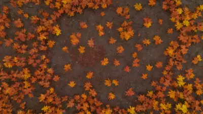 Autumn's Intricate Nature A Three Dimensional Art Piece Inspired by Carrie Mae Weems