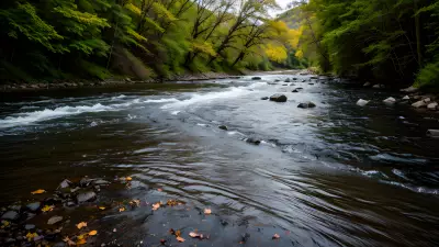 Car on the River Capturing Perfect Leading Lines