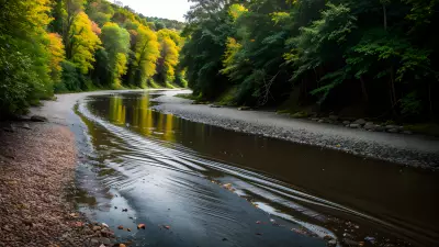 Car on the River Capturing Perfect Leading Lines