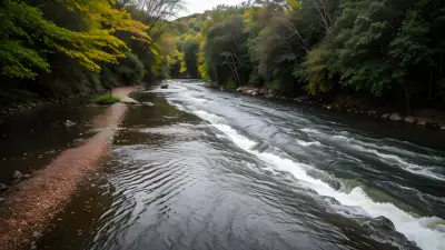 Car on the River Capturing Perfect Leading Lines
