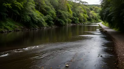 Car on the River Capturing Perfect Leading Lines