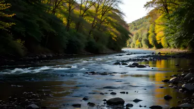Car on the River Capturing Perfect Leading Lines