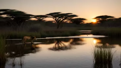 Ecosystem Intensity A Wetland Adventure with Africa's Beautiful Animals