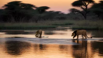 Ecosystem Intensity A Wetland Adventure with Africa's Beautiful Animals