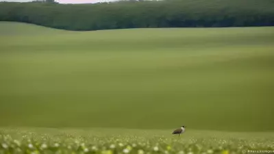 Perfect Moments in Farmland Habitats Featuring the Diverse Biodiversityphotographer Peter SimonCaptures Through the Lens