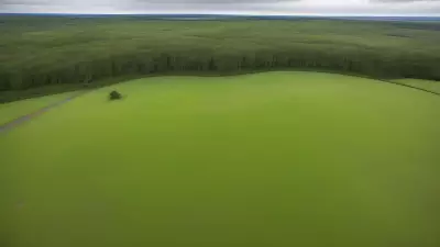 Perfect Moments in Farmland Habitats Featuring the Diverse Biodiversityphotographer Peter SimonCaptures Through the Lens