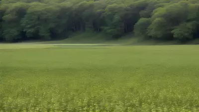 Perfect Moments in Farmland Habitats Featuring the Diverse Biodiversityphotographer Peter SimonCaptures Through the Lens