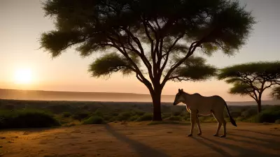 Majestic Oasis at Sunrise A Captivating Backlighting Scene