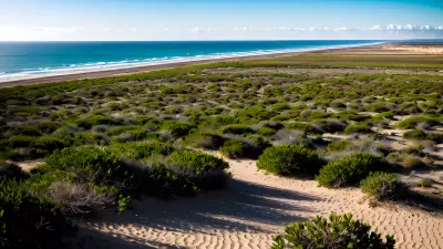 Desert Oasis a High Speed Perspective of the Ocean