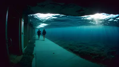 Beneath the Surface Exploring the Depths with Winogrand