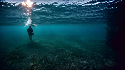 Beneath the Surface Exploring the Depths with Winogrand