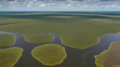 Extraordinary Diversity Wildlife of Marshes