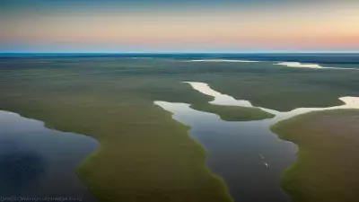 Extraordinary Diversity Wildlife of Marshes