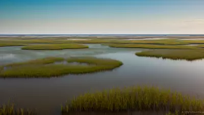 Extraordinary Diversity Wildlife of Marshes